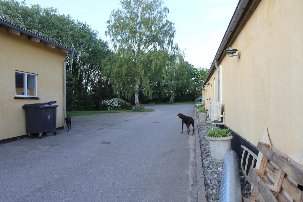 Strandsegard Ferielejlighed Olsted Exterior photo